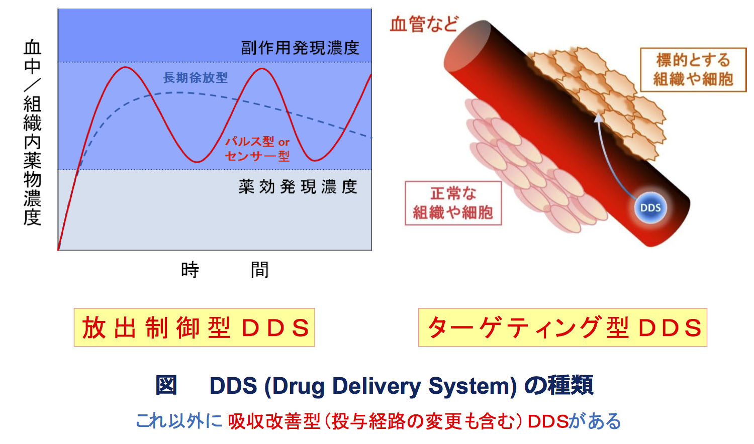 図　DDS（Durg Delivery System）の種類 これ以外に吸収改善型（投与経路の変更も含む）DDSがある