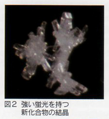 図2 強い蛍光を持つ新化合物の結晶