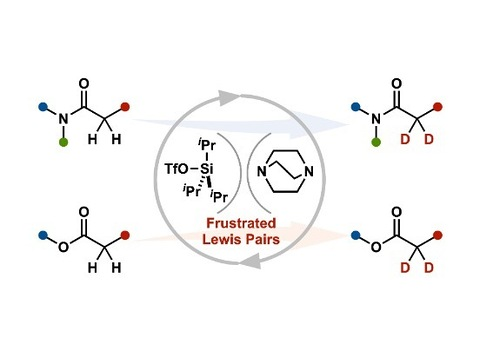 2種類の触媒でアミドとエステルの位置選択的な重水素化を達成！ ～創薬研究やマテリ...