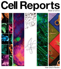 神経障害性疼痛におけるIRF8の役割に関する論文(薬理学)がCell Reports誌の「Best of 2012」の一つに選出