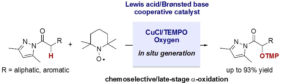 カルボン酸誘導体の触媒的かつ化学選択的なα位酸化反応の開発に成功！