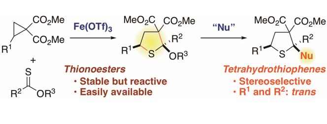 硫黄原子を含む複素環の効率的合成反応を開発　〜低級エステルの新たな利用法〜