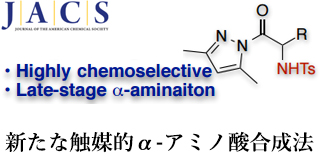 新たなα-アミノ酸の効率的な合成法を開発