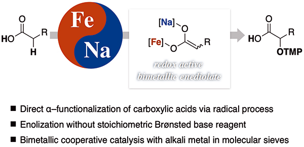 カルボン酸の新規触媒的エノラート化法およびラジカル機構によるα-酸化反応を開発